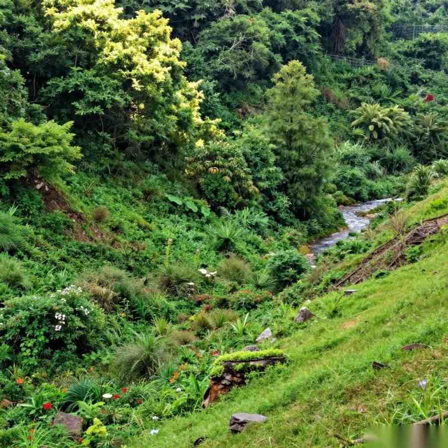 金融支持能源资源行业绿色转型路径分析